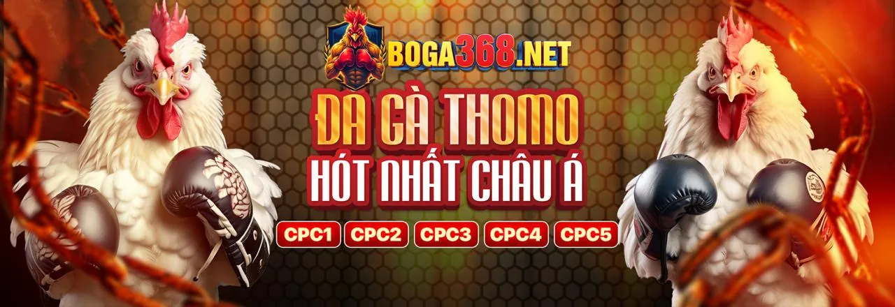 Đấu gà trực tuyến Galaxy6623 link mới 2026
